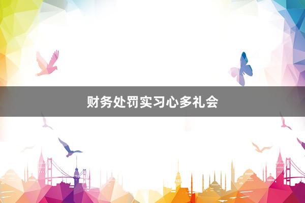 财务处罚实习心多礼会